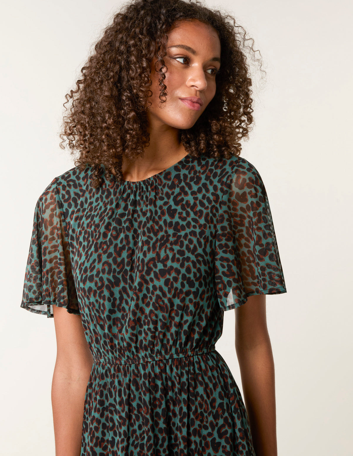 Leopard Print Mesh Crew Neck Mini Dress