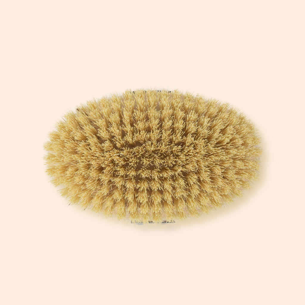 Dry Skin Brush