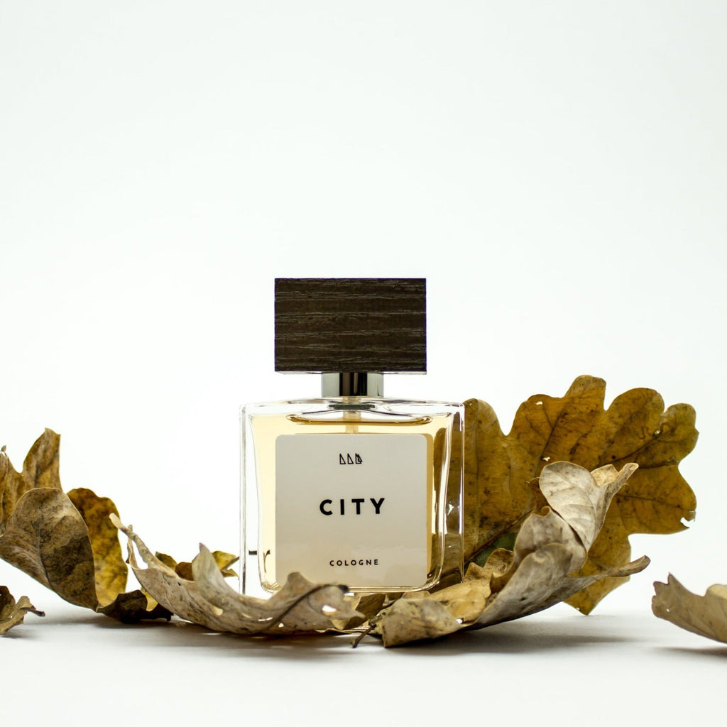 City | Refined + Aromatic | Fougere Men's Scent