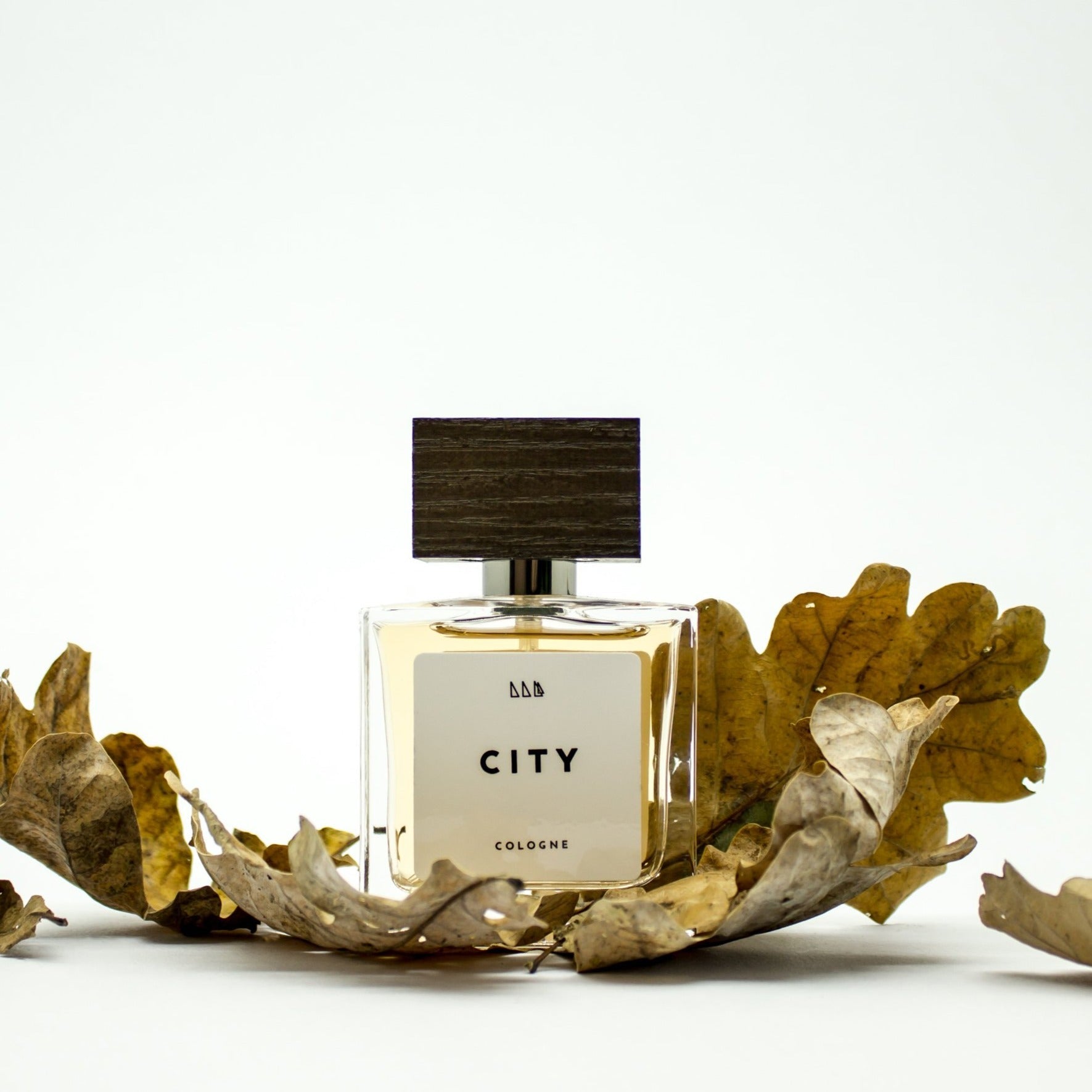 City | Refined + Aromatic | Fougere Men's Scent