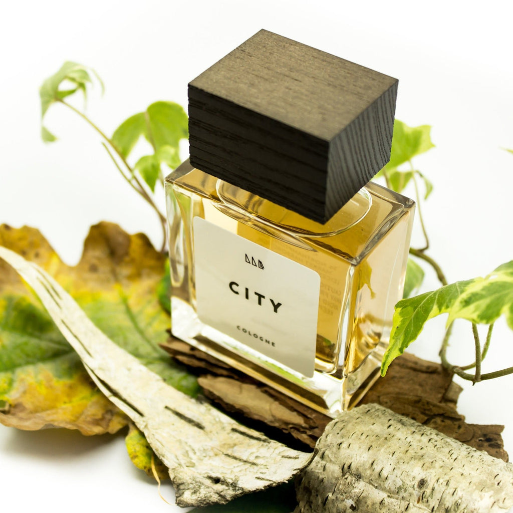 City | Refined + Aromatic | Fougere Men's Scent